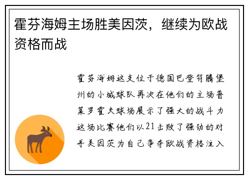 霍芬海姆主场胜美因茨，继续为欧战资格而战